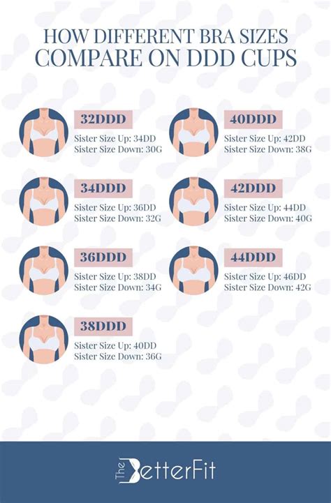 breast cup sizes pictures